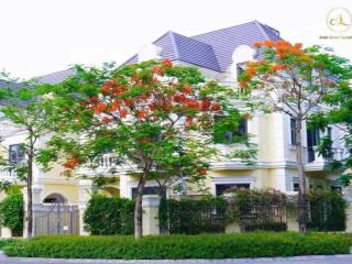 Mở bán quỹ căn biệt thự hà nội có hầm nhỉnh 26tỷ, chiết khấu 10% , htls 24 thángtrực tiếp cđt