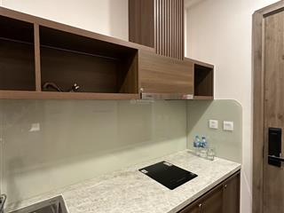 Căn hộ studio 29,6m2 skyoasis giá 2.490 tỷ.