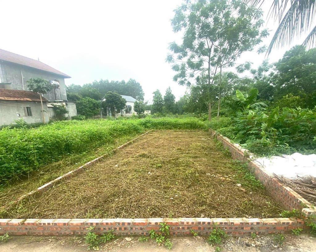 Bán đất tân xã hoà lạc giá rẻ đầu tư, xây nhà trọ đều được. rất nhiều nhà trọ xung quanh