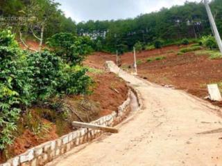 30000 m2 đất lâm hà lâm đồng 61,5 tỷ
