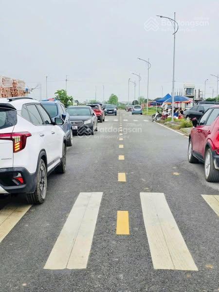 Bán đất đấu giá dự án khu đấu giá mới phan sào nam,
