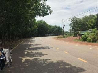 Ngân hàng thanh lý siêu phẩm tân hòa  ngang 58m 2000m2 ngay sát tuyến 2 vsip 4 chỉ 585 triệu