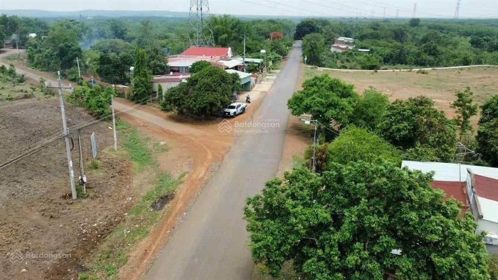 Chủ trả nợ ra gấp trục chính chạy thẳng về sân bay long thành. ngang rộng tổng 1518m2 giá chỉ 425tr