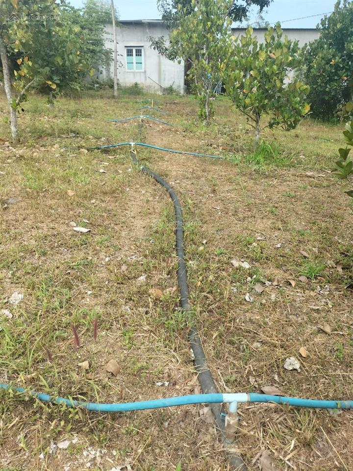 Bán trang trại, khu nghỉ dưỡng, dt 10.855,6m2, giá 9 tỷ, thích hợp làm nhà yến