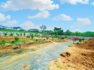 Bán gấp lô góc 863m2 tại đường 446, đông xuân, quốc oai, hà nội, 16 triệu/m2