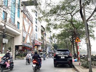 50 tỷ nhỉnh có lô đất xây building mặt phố nguyễn khang  85.6m2, mt 5m, vuông a4