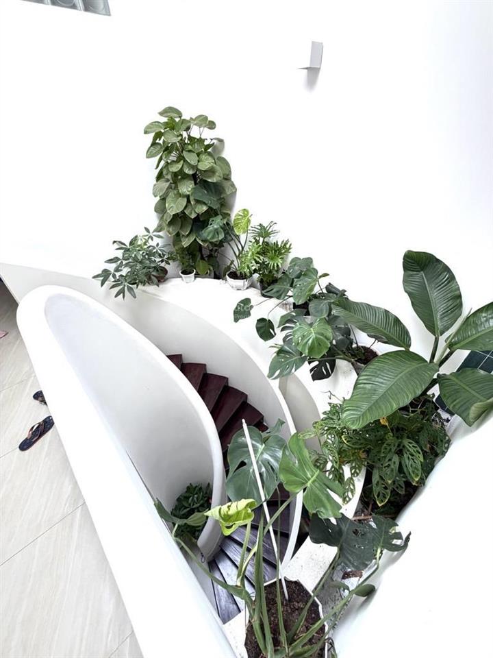 Phú nhuận nhà 2 tầng  hẻm 1 xẹt sát mặt tiền 55m2 ( 3.9m x 16m)  gần công viên gia định