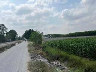 Đất đẹp lộc giang  diện tích rộng, dễ khai thác