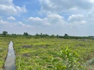 Bán đất thổ cư lộc giang  phù hợp ở kết hợp kinh doanh