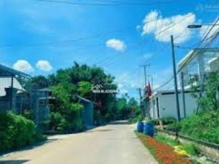 Đất thổ cư lộc giang  vị trí đẹp, hạ tầng hoàn chỉnh