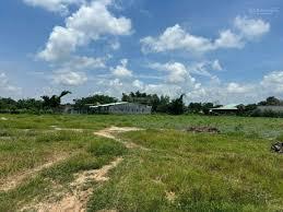 Đất thổ cư lộc giang  diện tích hiếm, đầu tư lâu dài