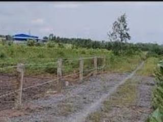 Đất nền thủ thừa, đường nhựa rộng