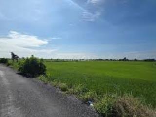 Đất thủ thừa  khu dân cư đông đúc