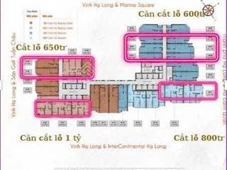 Duy nhất 5 suất mua giá 2021, rẻ hơn thị trường 2025 từ 600tr  1 tỉ/căn