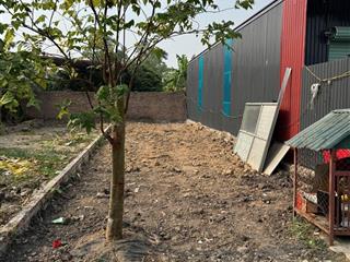Bán đất tại lạc nông, xã mai đình, huyện sóc sơn, hà nội, 31 triệu / m2, 94 m2