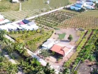 Bán đất siêu đẹp ở vĩnh công, châu thành, long an giá chỉ 2,6 tỷ, 536m2