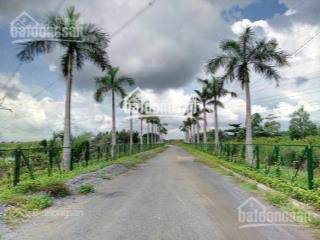 Bán đất dự án thanh niên nhà bè, đường phạm hùng, giá từ 20 triệu/m2, 0909 097 ***