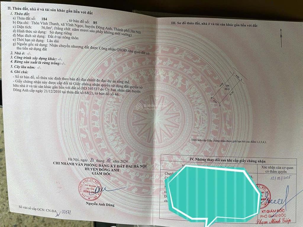 Cần tìm chủ mới cho em. hoa hậu nhỏ xinh  vĩnh thanh  vĩnh ngọc 56m2