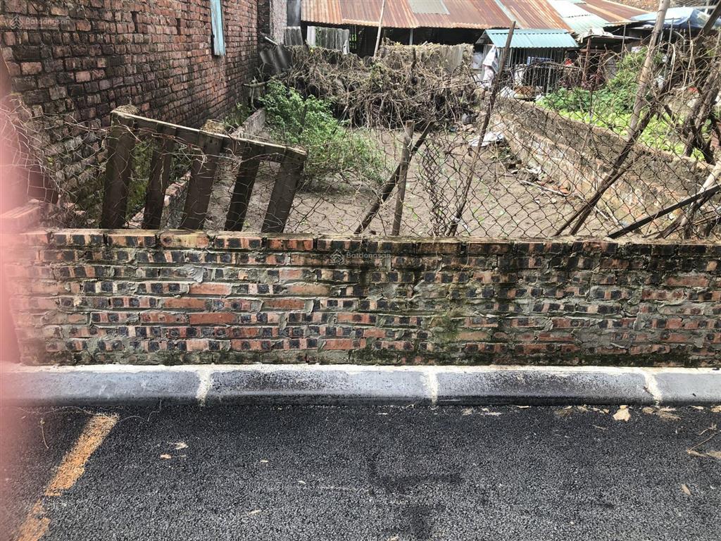 Cần tìm chủ mới cho em. hoa hậu nhỏ xinh  vĩnh thanh  vĩnh ngọc 56m2