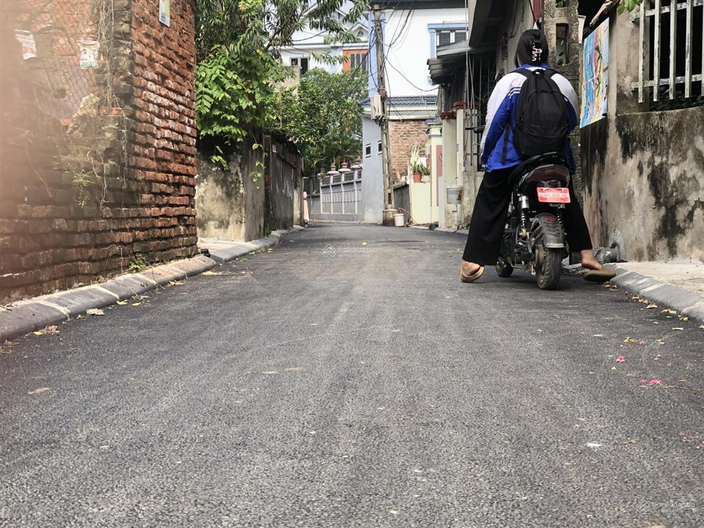 Cần tìm chủ mới cho em. hoa hậu nhỏ xinh  vĩnh thanh  vĩnh ngọc 56m2