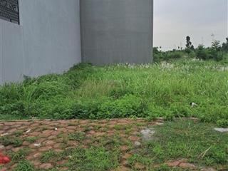 Cc bán lô đất tdc hoa động, thủy nguyên 136m2 đường 9m gần hoàng huy green river giá chỉ 7.8 tỷ