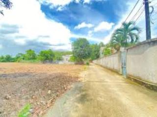 Đất rộng 350m² phù hợp xây nhà vườn