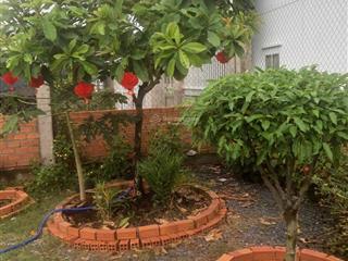 Căn nhà vườn 1064m2 tại mỹ yên  bến lức giáp ranh bình chánh