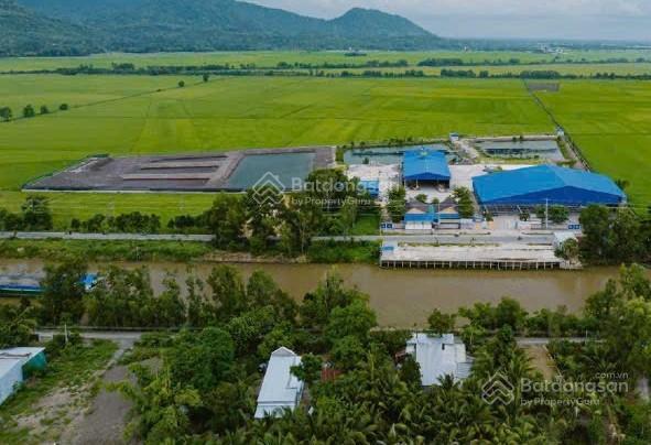 Bán 48.183m2 có 3 nhà xưởng, 1 văn phòng, 6 ao nuôi cá tại xã ô lâm, tỉnh an giang