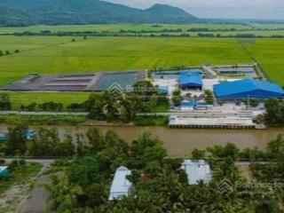 Bán 48.183m2 có 3 nhà xưởng, 1 văn phòng, 6 ao nuôi cá tại xã ô lâm, tỉnh an giang