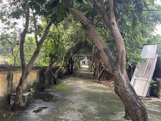 Cần bán 200m2 đất không sổ tại xuân đỉnh