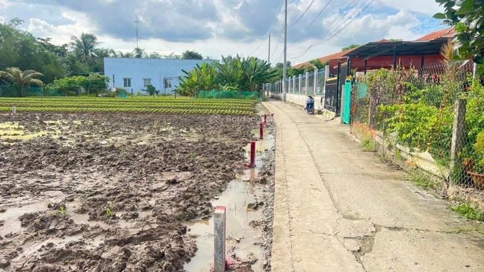 Đất bán đường dh20, xã mỹ lộc, cần giuộc, với diện tích 167 m2, giá 900 triệu vnd