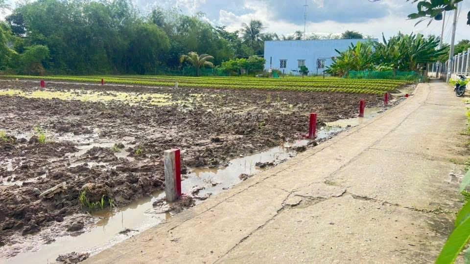 Đất bán đường dh20, xã mỹ lộc, cần giuộc, với diện tích 167 m2, giá 900 triệu vnd