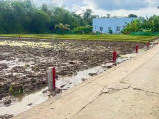 Đất bán đường dh20, xã mỹ lộc, cần giuộc, với diện tích 167 m2, giá 900 triệu vnd