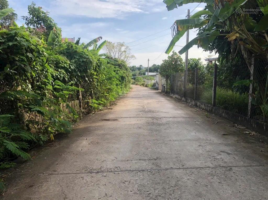 Bán lô đất đẹp thuộc suối nghệ, châu đức. 121 x 40m. sổ riêng sẵn 300m2 thổ cư. đường bê tông