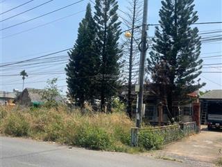 Mặt tiền mai chí thọ, tam phước, biên hoà. 3,2 sào (32x100m). có 175m2 thổ cư. chỉ 3,9tr/m2