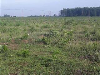 Bán 31,000m2 (3 mẫu 1) quy hoạch đất skc (3 mặt tiền)khu vực xã hố nai 3 sát bên kcn sông mây
