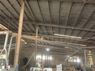 Xưởng giá rẻ b.án gấp nhà xưởng 3840m2 ( quy hoạch đất skc ) p  hố nai,đồng nai
diện tích  3