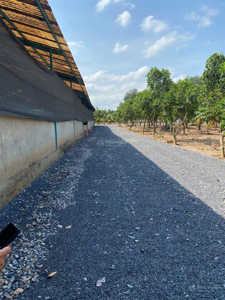 Chi còn 20ty. chỉ còn 680.000/m2 b.án nhà xưởng tân an ,vĩnh cửu ,đồng nai
diện t