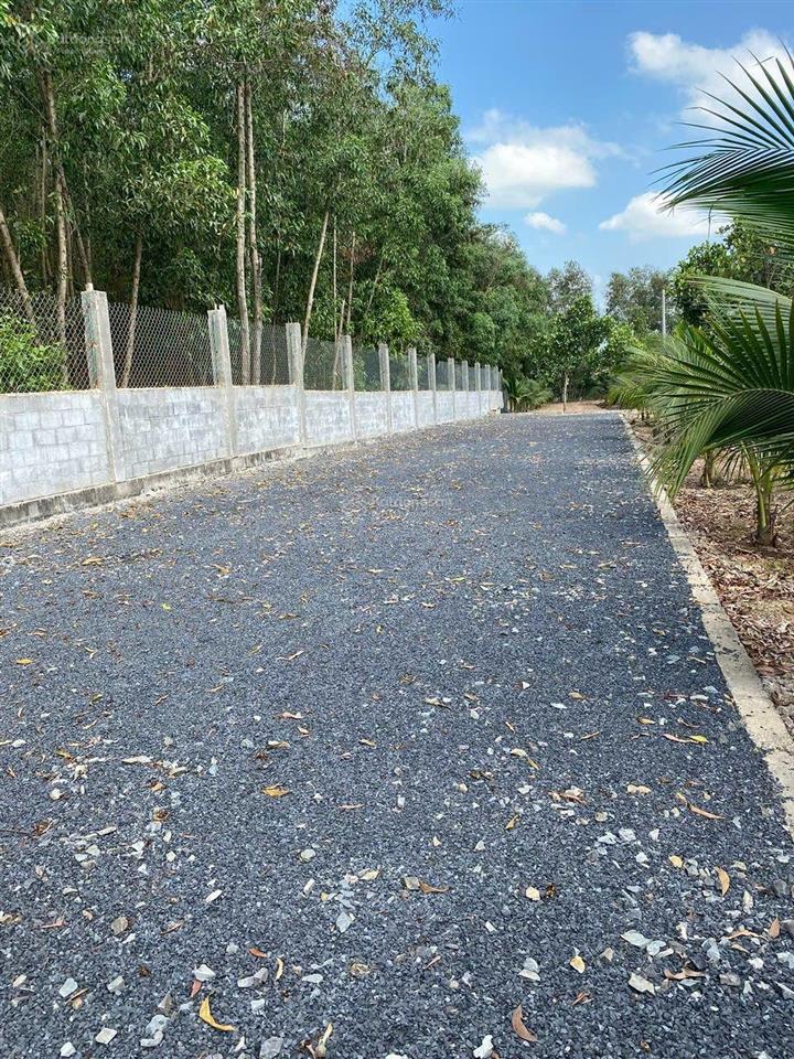 Chi còn 20ty. chỉ còn 680.000/m2 b.án nhà xưởng tân an ,vĩnh cửu ,đồng nai
diện t