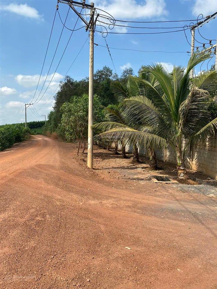 Chi còn 20ty. chỉ còn 680.000/m2 b.án nhà xưởng tân an ,vĩnh cửu ,đồng nai
diện t