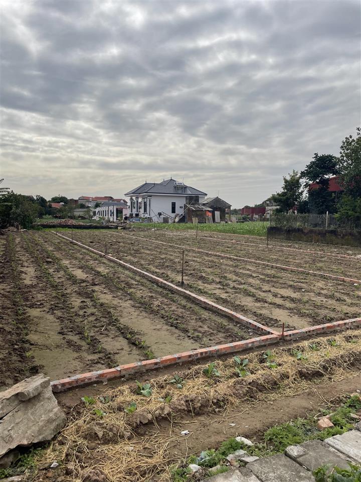 Bábán lô đất nhất trai, xã trung chính, lương tài bắc ninh  cạnh sân bay gia bình 82m2, 1,87 tỷ