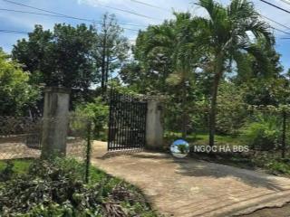 Chủ bán đất 600m2 có vườn trái cây + nhà cấp 4 giá chỉ 1 tỷ 650 ngay nhơn trạch, có dòng tiền, shr