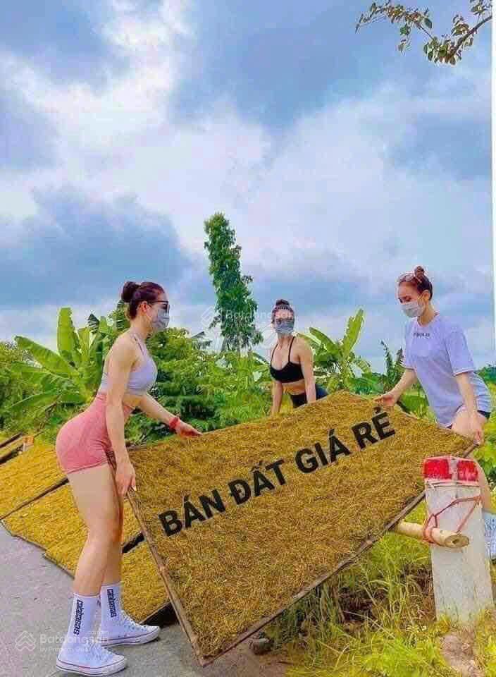 Em còn 2 lô đất cần bán 1 miếng nền 1 miếng sào ở phú giáo bình dương giá chỉ 6xxtr 1000m2 250m2