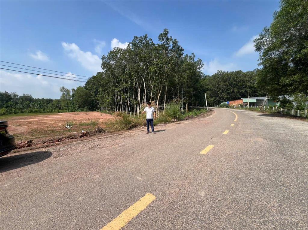 Siêu phẩm miếng đất mặt tiền đường nhựa dh 519 bình dương phước sang, 378m2 giáp mương ra 450tr