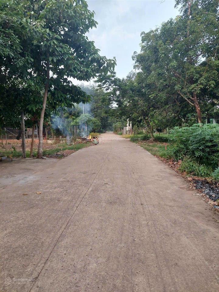 Chính chủ bán miếng đất sau lưng trường tiểu học 260m2 sổ sẵn ở tphcm vị trí đẹp