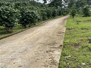 Cắt lỗ bán ngợp lô đất vườn và nhà cấp 4 ngay bên nhơn trạch dt 600m2 giá 1 tỉ 820 đang trồng sầu