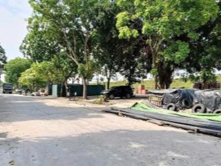 Siêu phẩm duy nhất  đấu giá x1 thôn tráng việt