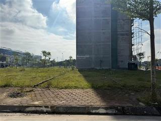 Đấu giá bạch đa đối diện khu đô thị kim hoa