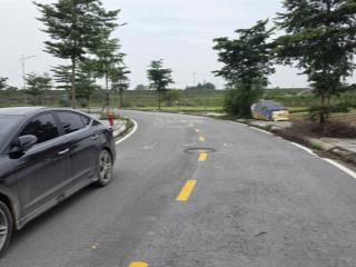 1 lô duy nhất  đấu giá x1 đông cao