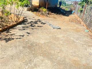 Cần bán đất có căn nhà, khu đất 4 mặt tiền tại thị trấn nam banlâm hàlâm đồnggần đèo tà nung
